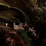 Udo - Cave