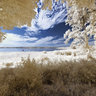 Park Petzow