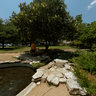 University of Texas Austin Tower And Turtle Pond