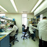 Bgu, Ben Gurion University Lab, Beer-Sheva, Israel