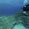First attempt at underwater panoramic Sha'ab El Erg Dolphin Reef