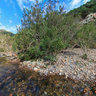 La Via Dell'Argento (Rio Ollastu)