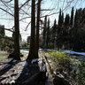 Sochi 2