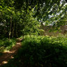Outside Gwyle Cottages Tyneham Dorset England