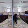 The Slatinany Stud