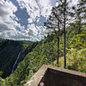 Thousand Foot Falls - Mountain Pine Ridge Reserve