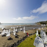 Sir Peter Blake Memorial Regatta