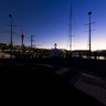 Viaduct Christmas Tree Auckland