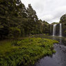 Whangarei Falls