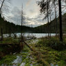 Kettle lake Huosianen, southeast shore, Siilinjärvi