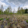 Siilinjoki river flooding into lowlands