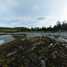 Parc national du Bic