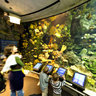 Shedd Acquarium
