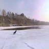 Ducks on Ice