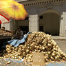 Farmers Market in old Havana - Onions