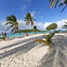 Tobago Cays - The Grenadines (Carribean)