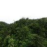 Dominica Island (Caribbean) - trip to Boiling Lake, Morne Trois Pitons National Park