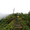 Dominica Island (Caribbean) - trip to Boiling Lake, Morne Trois Pitons National Park