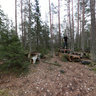 death racing in forest sweden