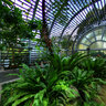 Hong Kong botanical garden greenhouse 2