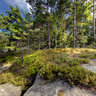 Drabske svetnicky trip