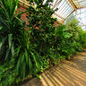 Greenhouse in Lany