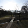 Bird view tree torso in Stromovka park