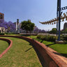 Transvaal Museum
