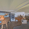 Transvaal Museum Mammal Hall