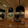 Mammal Hall of the Natal Museum in Pietermaritzburg