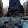 Alcove along Zion Narrows