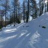 Waldweg Skipiste Bürchen