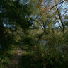 Beim Zusammenfluss von Aare und Saane