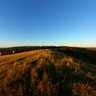 Salicorne Top Of Hill Ch Des Pealey Sat