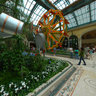 Botanical Garden at the Bellagio, Las Vegas