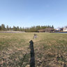 Moloughney Park, Barrhaven