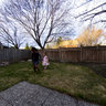 Spring Backyard, Easter