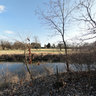 Morton Arboretum - Path Bridge