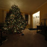 Living Room at Christmastime