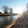 Morton Arboretum - River Bridge, West Side