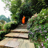 The King's Summer Gardens, Thailand
