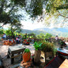 Coffee Hill - khao kho - camp son - Phetchabun