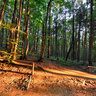 Sunset on the mountain track - Bieszczady