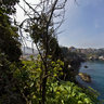 Amasra Büyük Ada (Tavşan Adasi)