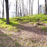 Grimsbekken (Grims stream)