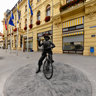 Pelikan - Celje