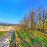 Rifnik - arheološki park