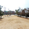 Catholic University of Korea front of Madonna at the sky hill