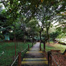 Catholic University of Korea middle of Romantic Stairs