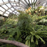 Botanical Garden Berlin green house F